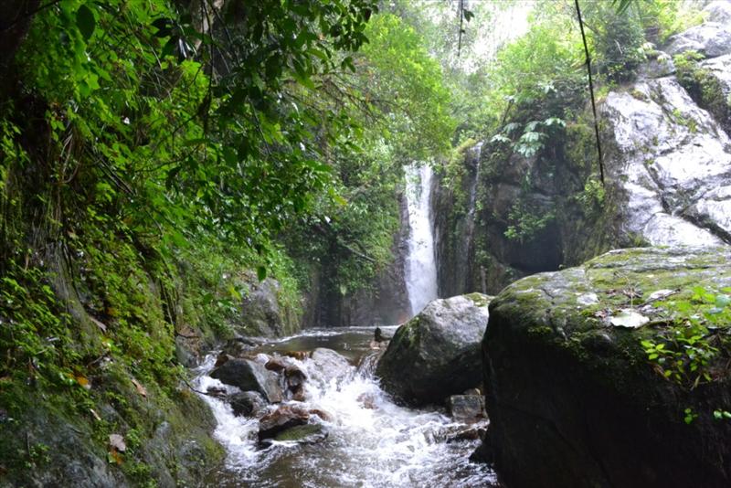 Chinna Suruli Falls
